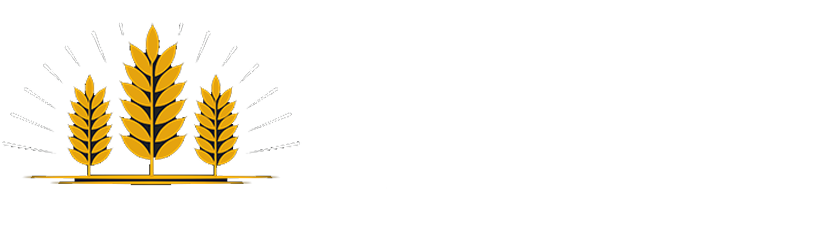 Mobilya V5 İnternet Sitesi